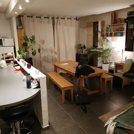 Warm 3 That Can Accommodate Up To 3 People With Parking - Near The Centre Of Strasbourg. Apartment *